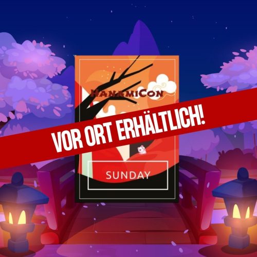 Sonntagsticket (vor Ort)